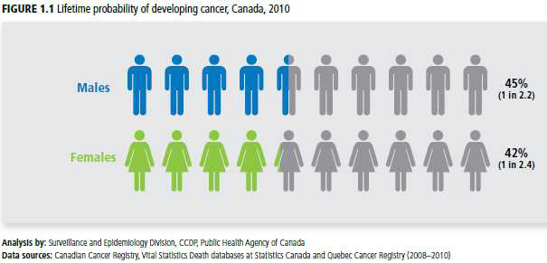 캐나다 암통계집 (Canadian Cancer Statistics) 예시