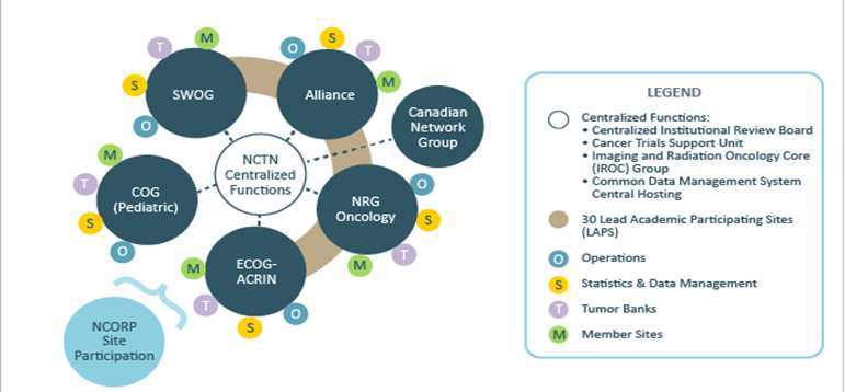미국 NCI의 국가암임상시험네트워크 구조