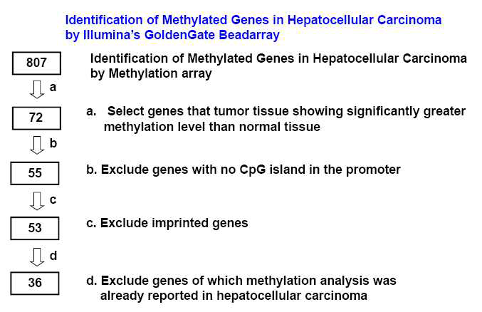 Goldengate methylation solution-based approach to identify new promoter CpG island loci which are methylated in a cancer-specific manner in hepatocellular carcinoma.