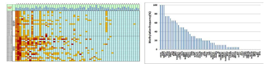 20개의 대장암표본과 20개의 대장암환자의 정상대장점막을 대상으로 62개의 DNA methylation marker에 대해 MethyLIght analysis를 시행하여, 각 표본 및 각 DNA메틸화마커에 대해 메틸화레벨을 결정 하고 PMR level을 나타내었음