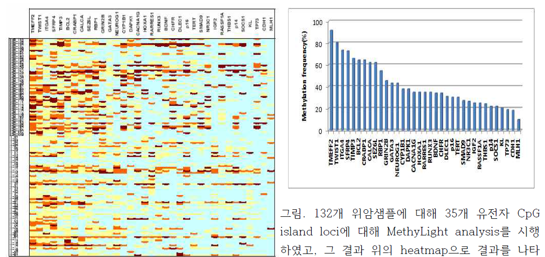 132개 위암샘플에 대해 35개 유전자 CpG island loci에 대해 MethyLight analysis를 시행 하였고, 그 결과 위의 heatmap으로 결과를 나타 내었음