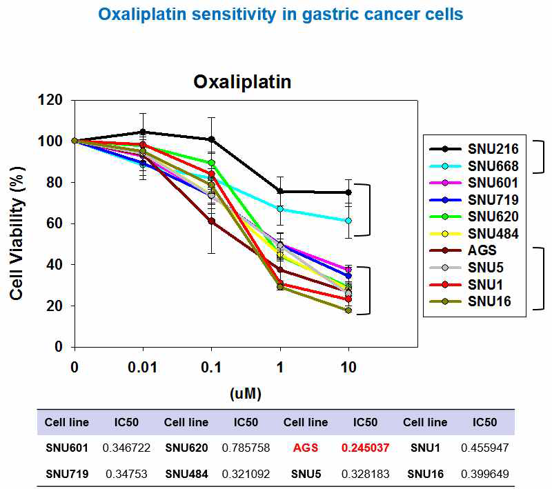 10개의 위암세포주에서의 Oxaliplatin 감수성 확인.