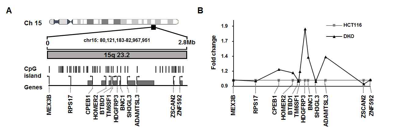 A. HCT116과 DKO의 microarray data에서 유전자 발현의 차이를 나타낸 LRES의 chromosome상의 위치 B. HCT116과 DKO microarray data상의 유전자 발현의 차이