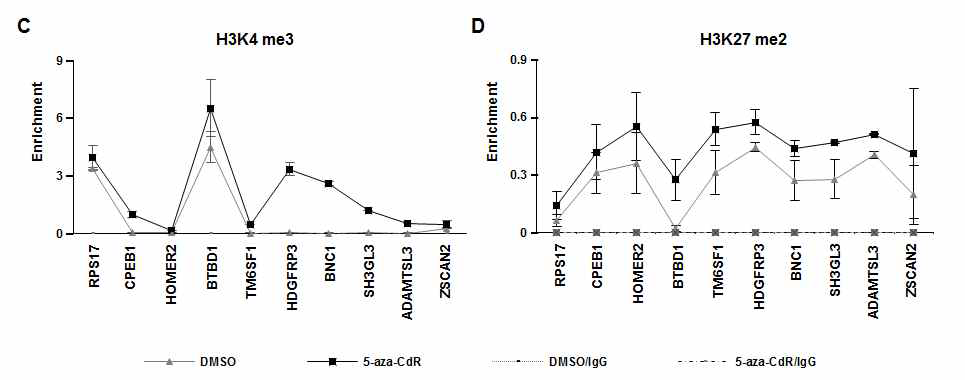 ChIP Chromatin Immunoprecipitation) assay를 통해 5-aza-CdR 처리 이후 histone modification 변화를 확인