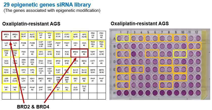 Oxaliplatin 저항성을 가진 AGS 세포주 (AGS-Ox-R)에 29 epigenetic genes siRNA library를 이용한 knockdown 후, MTT assay.