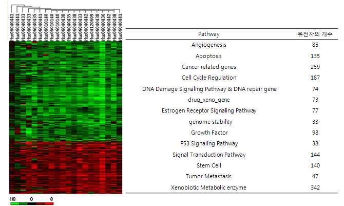 2배 이상 증감(p〈0.001)한 유전자의 트리뷰와 pathway별 유전자 갯수