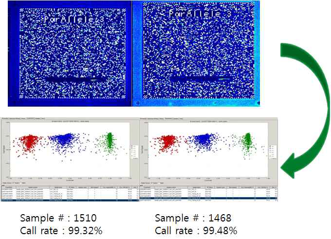 GeneChip® TG Custom SNP Chip Genotyping 분석의 예