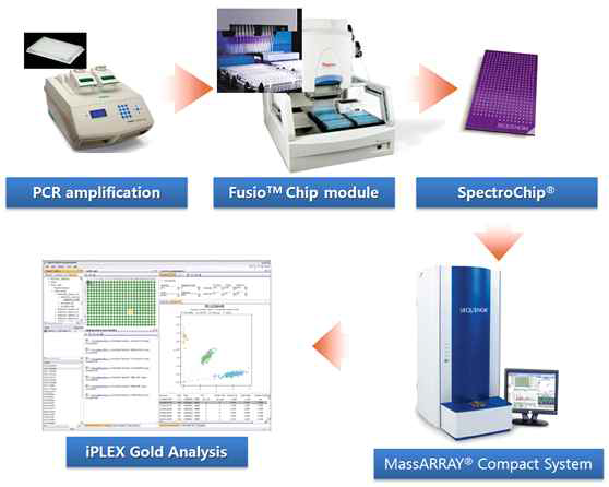 Sequenom MassArray Genotyping workflow