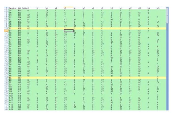 Sequenom을 이용하여 SNP에 따른 유전자형 조사결과의 예