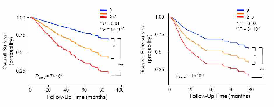 Overall survival and disease-free survival curves according to the number of bad genotypes of the three polymorphisms