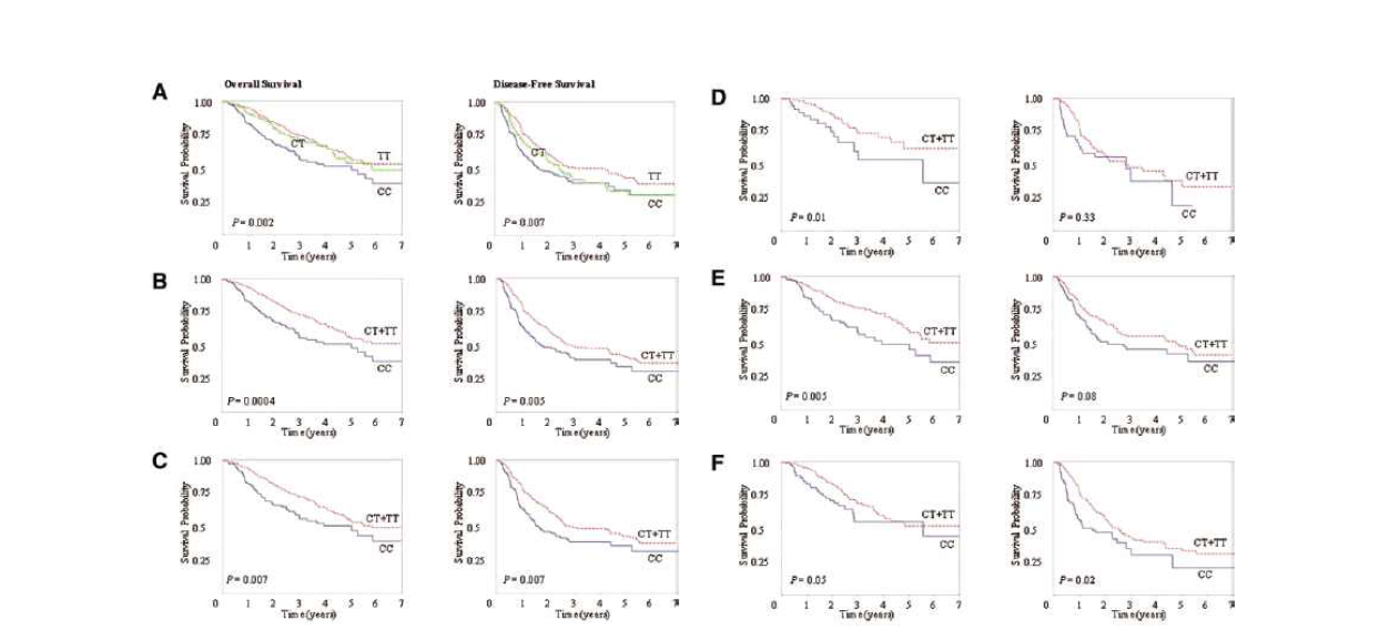 Kaplan–Meier plot of overall survival and disease-free survival by the CHRNA3 rs6495309C > T genotypes: under a referent model, in all patients (A); and under a dominant model for the rs6495309T allele: in all patients (B), in ever-smokers (C); in never-smokers (D); in squamous-cell carcinomas (E); and in adenocarcinomas (F). P values, from log-rank test squamous-cell carcinomas (E); and in adenocarcinomas (F). P values, from log-rank test