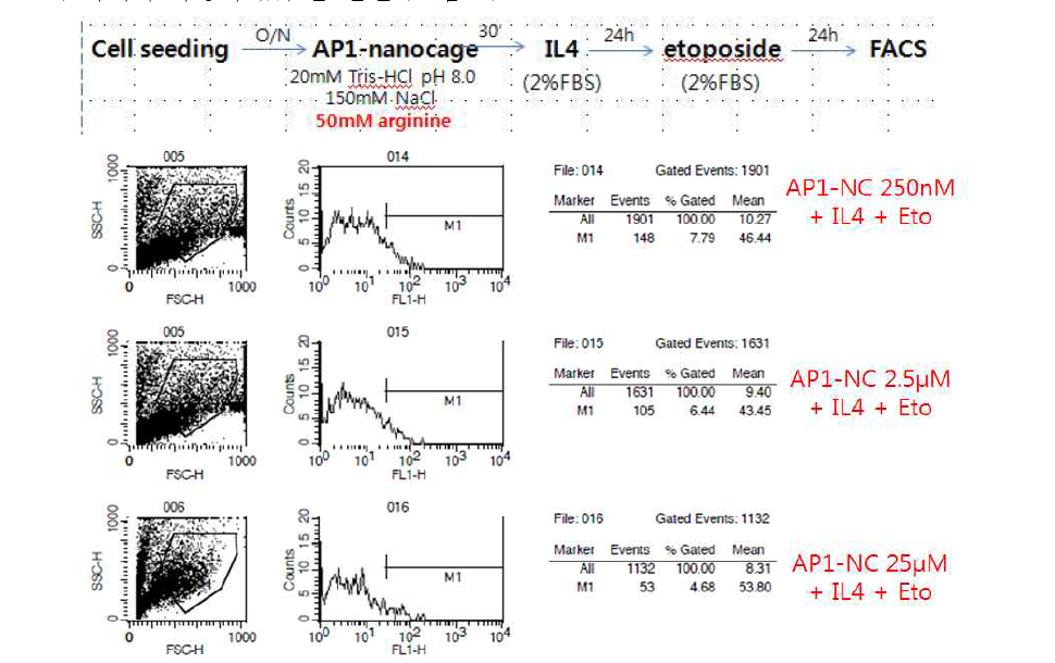 AP1-nanocage을 이용한 IL-4 유도 항암제 내성 길항 테스트