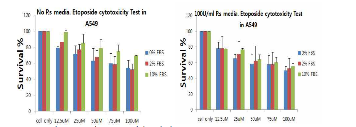 Serum과 Etoposide의 농도에 따른 Cell survival Test