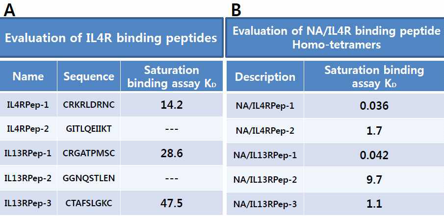 NA/Biotin-IL4RPep-1 homtetramer 및 heterotetramer의 결합력. A, Mono-펩타이드 sequence와 Kd value; B, NA/IL-4R 결합 펩타이드 복합체 목록과 Kd value