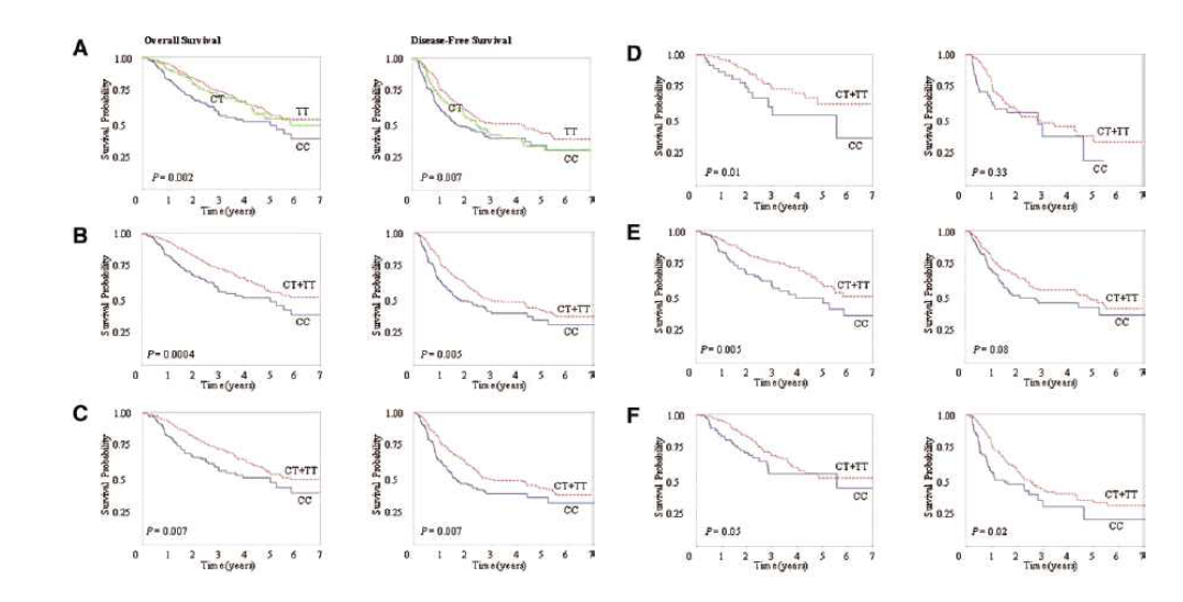 Kaplan–Meier plot of overall survival and disease-free survival by the CHRNA3 rs6495309C > T genotypes: under a referent model, in all patients (A); and under a dominant model for the rs6495309T allele: in all patients (B), in ever-smokers (C); in never-smokers (D); in squamous-cell carcinomas (E); and in adenocarcinomas (F). P values, from log-rank test