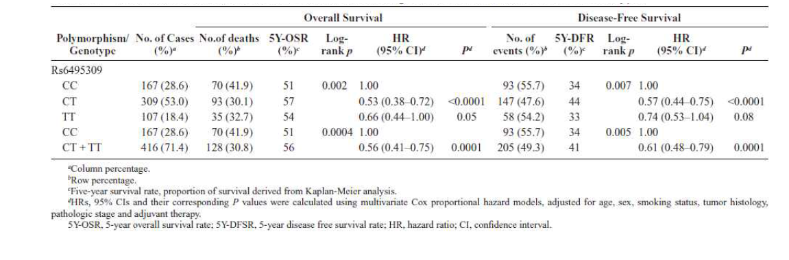 Overall Survival and Disease-Free Survival According to the CHRNA3 rs6495309 C>T Genotypes