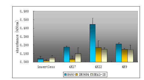 phage cell binding ELISA