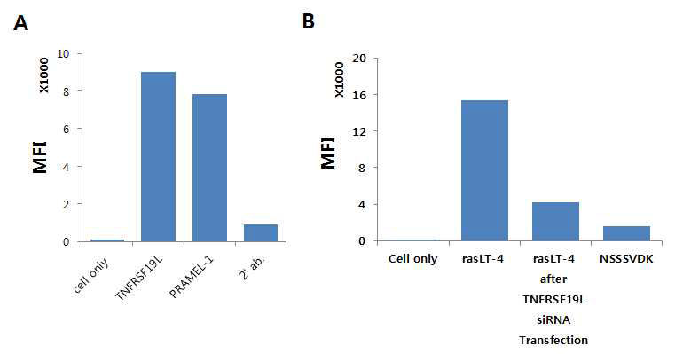 Identification of receptor for rasLT-4 peptide : siRNA gene silencing assay