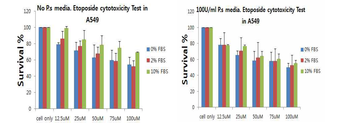 Serum과 Etoposide의 농도에 따른 Cell survival Test