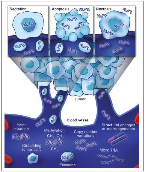 Genetic alterations detectable in circulating cell-free tumor DNA