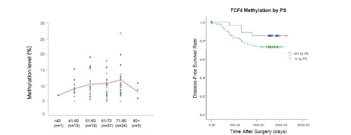 위암환자의 연령증가에 따른 TCF4유전자의 메틸화의 정량적 변화와 환자의 예후와의 관련성