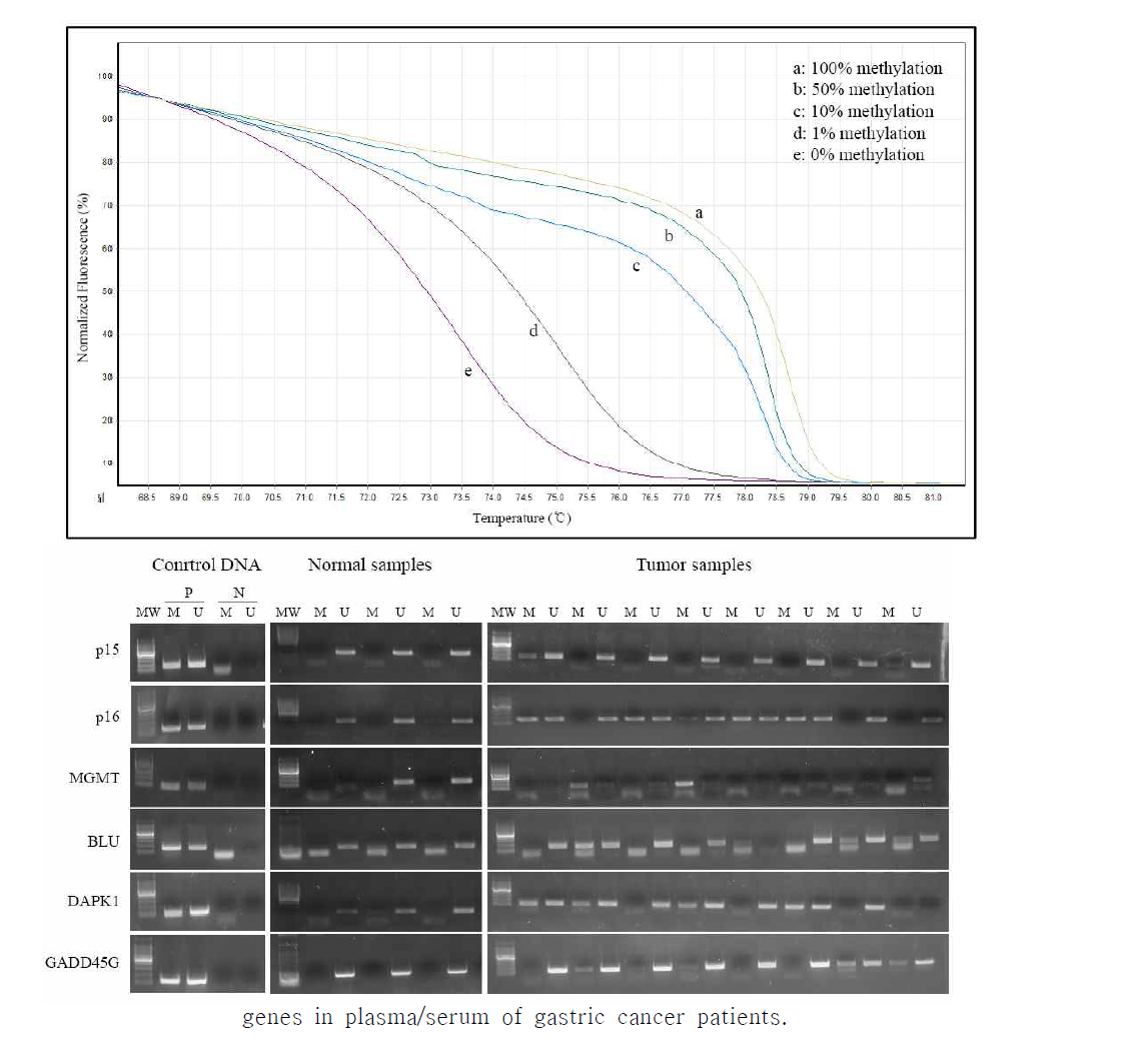 Representative of normalized melting curves of MS-MSP