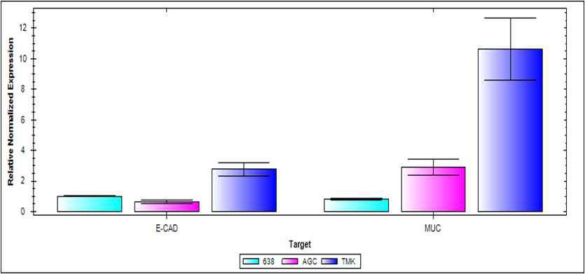 Expression of CDH1 and MUC1, the representative target genes of mir200 family, by qRT-PCR in cell lines SNU638, AGS, and TMK1