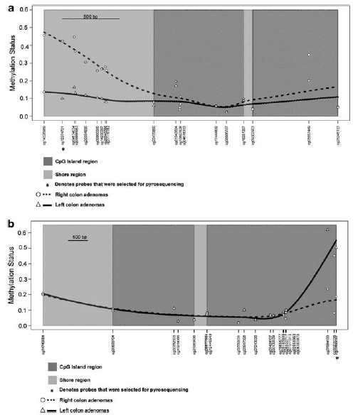 Methylation status between right- and left-colon adenomas for PRAC (a) and CDX2 (b). Points represent the median methylation status for left- and right-colon adenomas and lines represent the locally weighted polynomial smoothed methylation status across the profiled CpGs associated with that gene