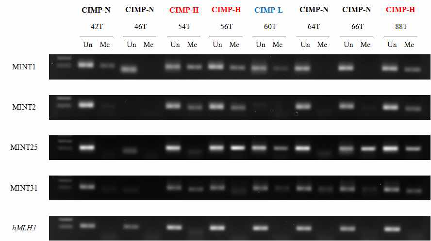 CIMP status of promoter DNA methylation in early onset gastric cancer