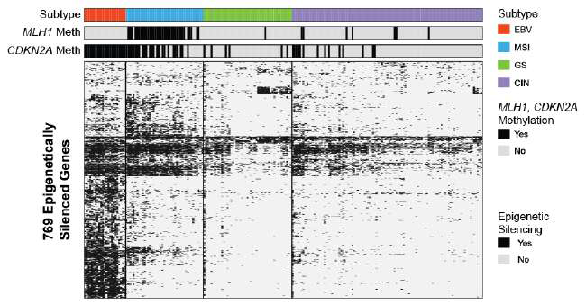 Clustering and heatmap representation of dichotomous epigenetic silencing calls. We identified 769 genes that were silenced by DNA methylation in at least 5% of the tumours. The epigenetic silencing calls of each gene in 100 tumor samples are indicated by using a black (yes) and gray (no) color scheme. Genes are ordered based on a hierarchical clustering with Ward’s method on the Jaccard Distance, a distance measure that best suits binary data. CDKN2A and MLH1 DNA methylation status of each tumor sample are also shown as bars above the heatmap. Samples are grouped according to the four major molecular subtypes indicated as a vertical colour bar at the top