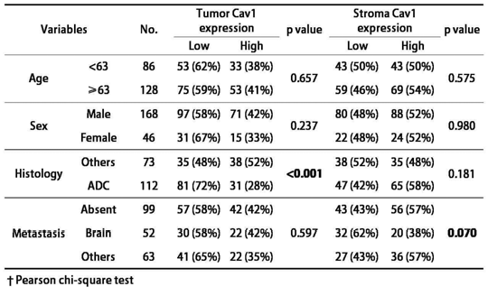 원발암 조직에서 나이, 성별, 조직학적 유형, 원격전이 여부에 따른 CAV1 발현정도