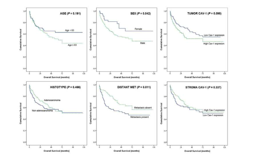 CAV1발현을 포함한 임상병리학적 인자에 따른 환자생존율의 비교