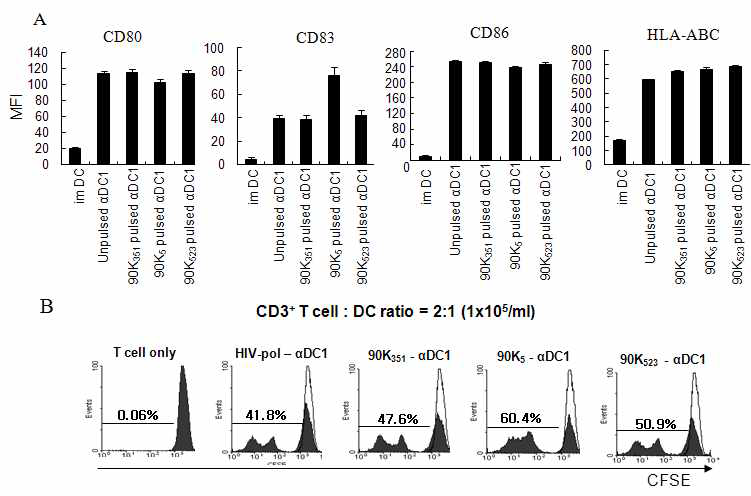 Immunophenotype and T cell proliferating activity of DC1s pulsed with peptides