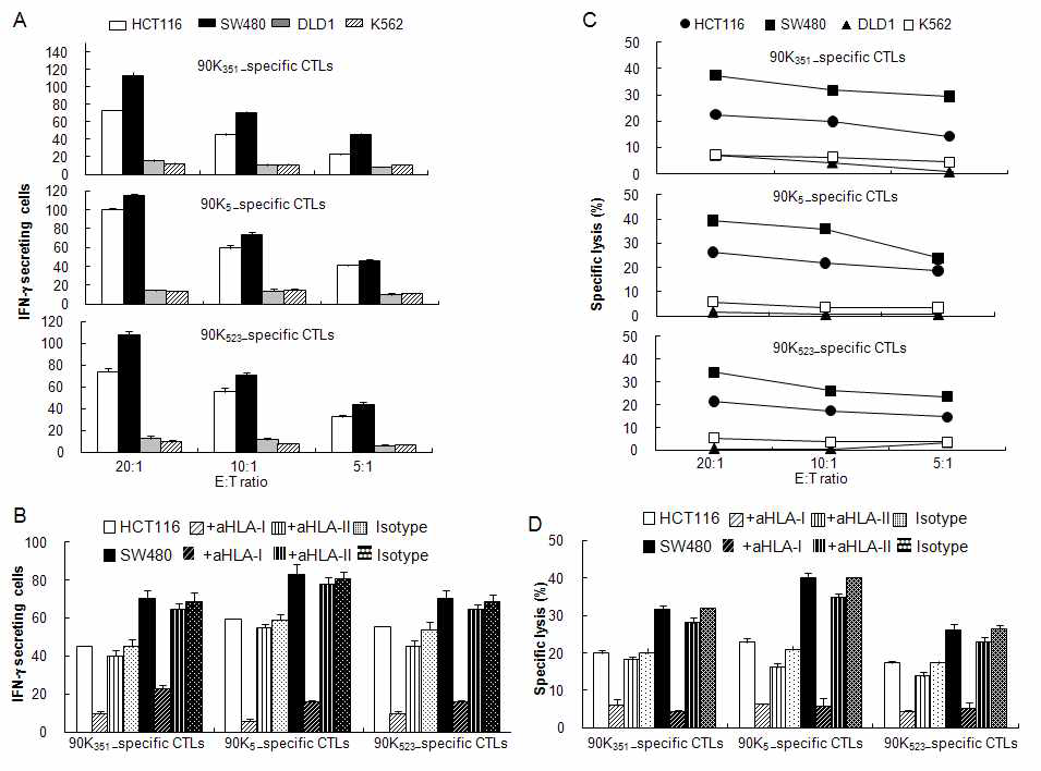 Characterization of 90K peptide-specific CTLs against colon cancer cells