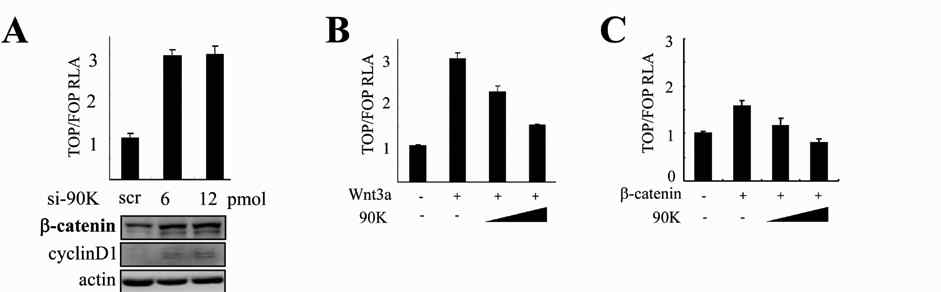 90K suppresses the canonical Wnt signaling pathway in a GSK-3β-independent manner