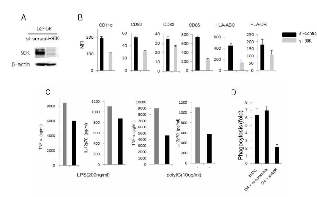 90K knockdown affects the surface phenotype of DCs and cytokine secretion