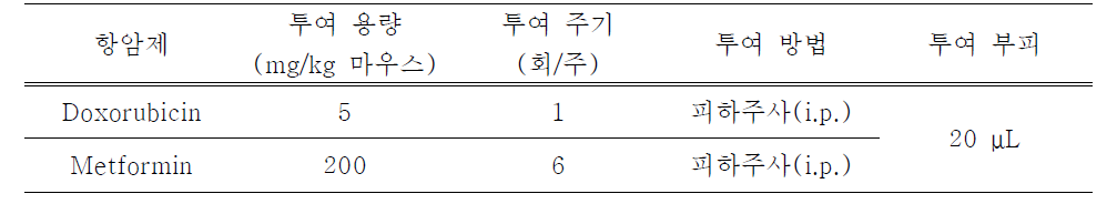 유방암 동물모델의 항암제 투여 조건