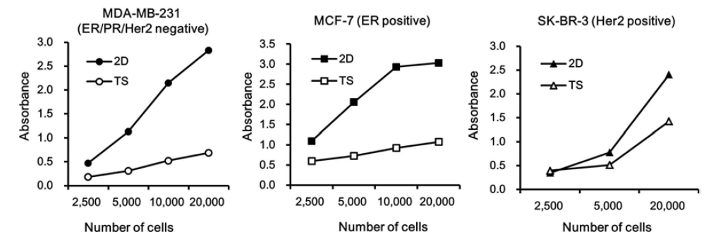 Monolayer(2D)와 tumorsphere(TS)배양 방법에 따른 각 유방암세포주들의 증식률 비교