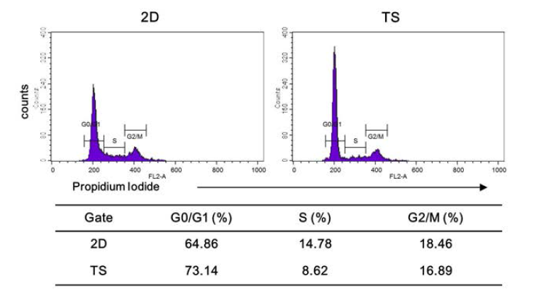 Monolayer(2D)와 tumorsphere(TS) 배양방법에 따른 MDA-MB-231세포의 주기 변화