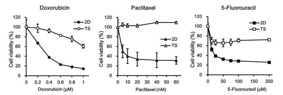 Monolayer (2D)와 tumorsphere (TS) 세포에 대한 일반항암제들의 세포독성 효과