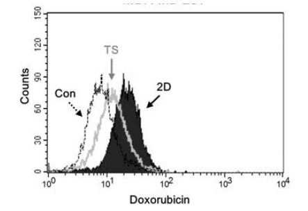 Monolayer (2D)와 tumorsphere (TS)세포내에 축적된 doxorubicin의 함량 차이