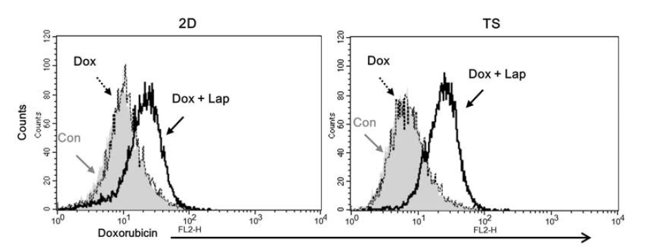 Monolayer (2D)와 tumorsphere (TS)세포내에 축적된 doxorubicin의 함량 차이