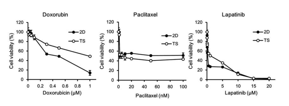Monolayer (2D)와 tumorsphere (TS) 세포에 대한 항암제들의 세포독성 효과