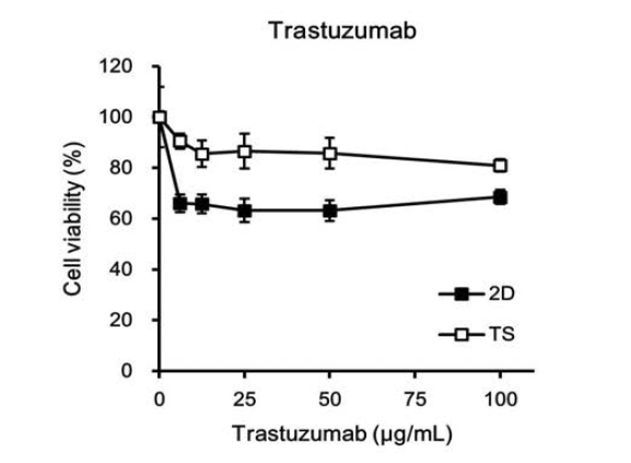 Monolayer (2D)와 tumorsphere (TS) 세포에 대한 herceptin의 세포독성 효과