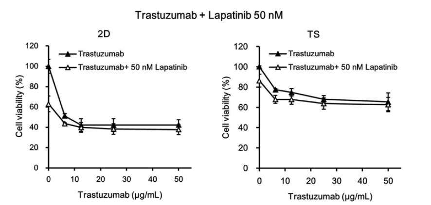 Herceptin과 lapatinib의 병합처리에 의한 세포독성