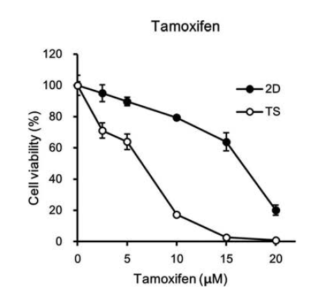 Monolayer (2D)와 tumorsphere (TS) 세포에 대한 tamoxifen의 세포독성 효과