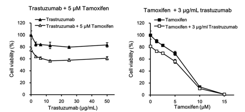 Tumorsphere (TS) 세포에서 herceptin과 tamoxifen의 병합처리 효과