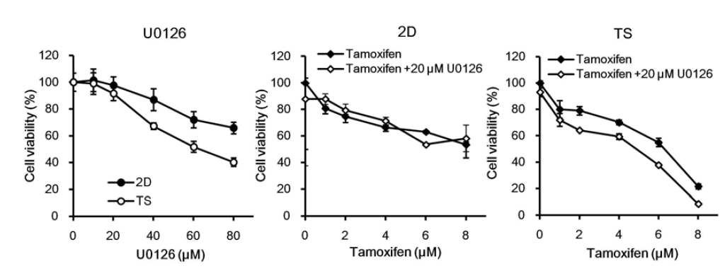 MER/ERK 1/2 저해제 (U0126)의 단독 및 tamoxifen과 병합처리에 의한 세포독성