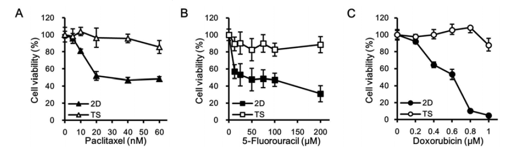Monolayer(2D)와 tumorsphere(TS) 세포에 대한 항암제들의 세포독성 효과