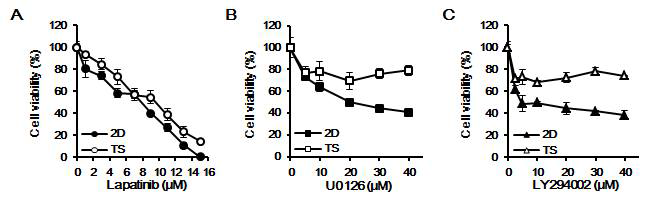 Monolayer(2D)와 tumorsphere(TS) 세포에 대한 lapatinib, U0126, LY294002의 세포 독성 효과